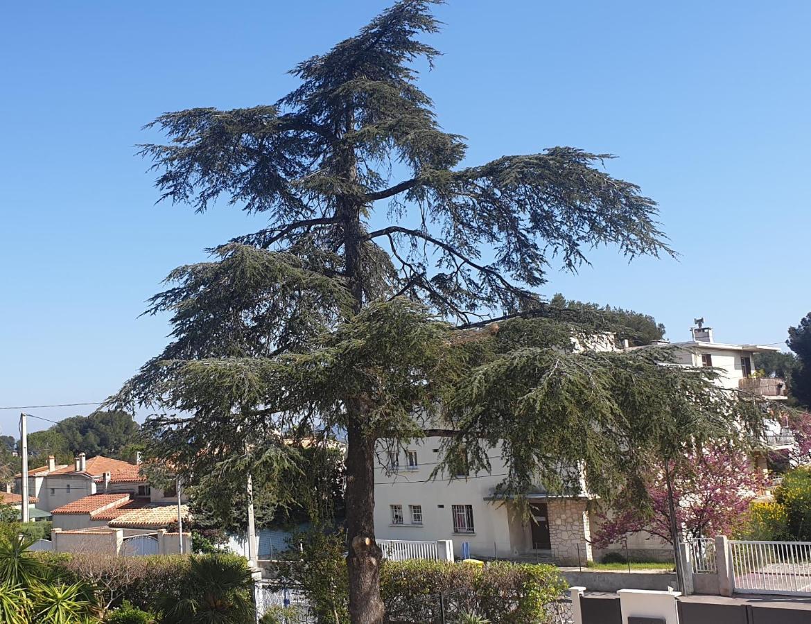 Les Vagues Bleues Daire La Ciotat Dış mekan fotoğraf
