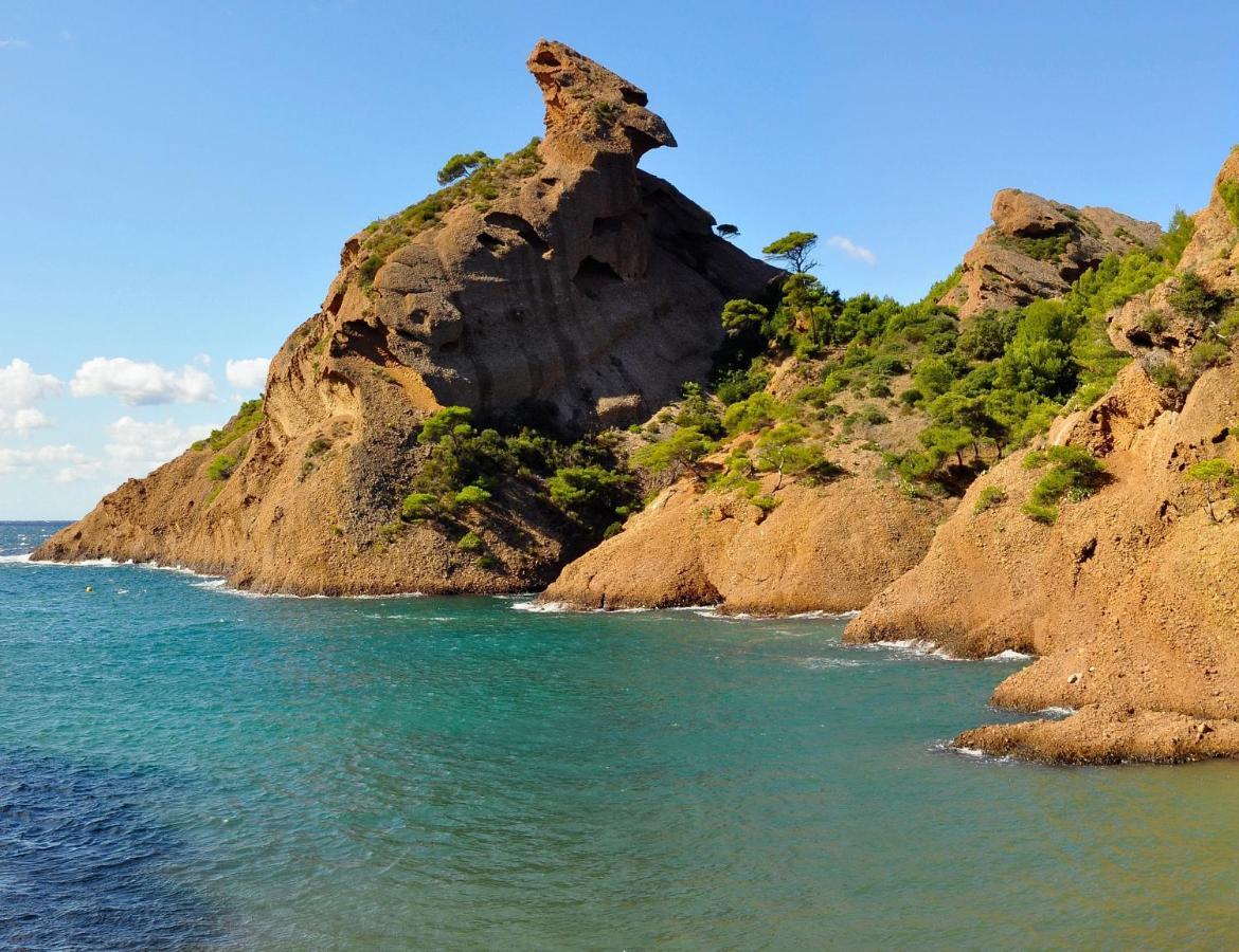 Les Vagues Bleues Daire La Ciotat Dış mekan fotoğraf