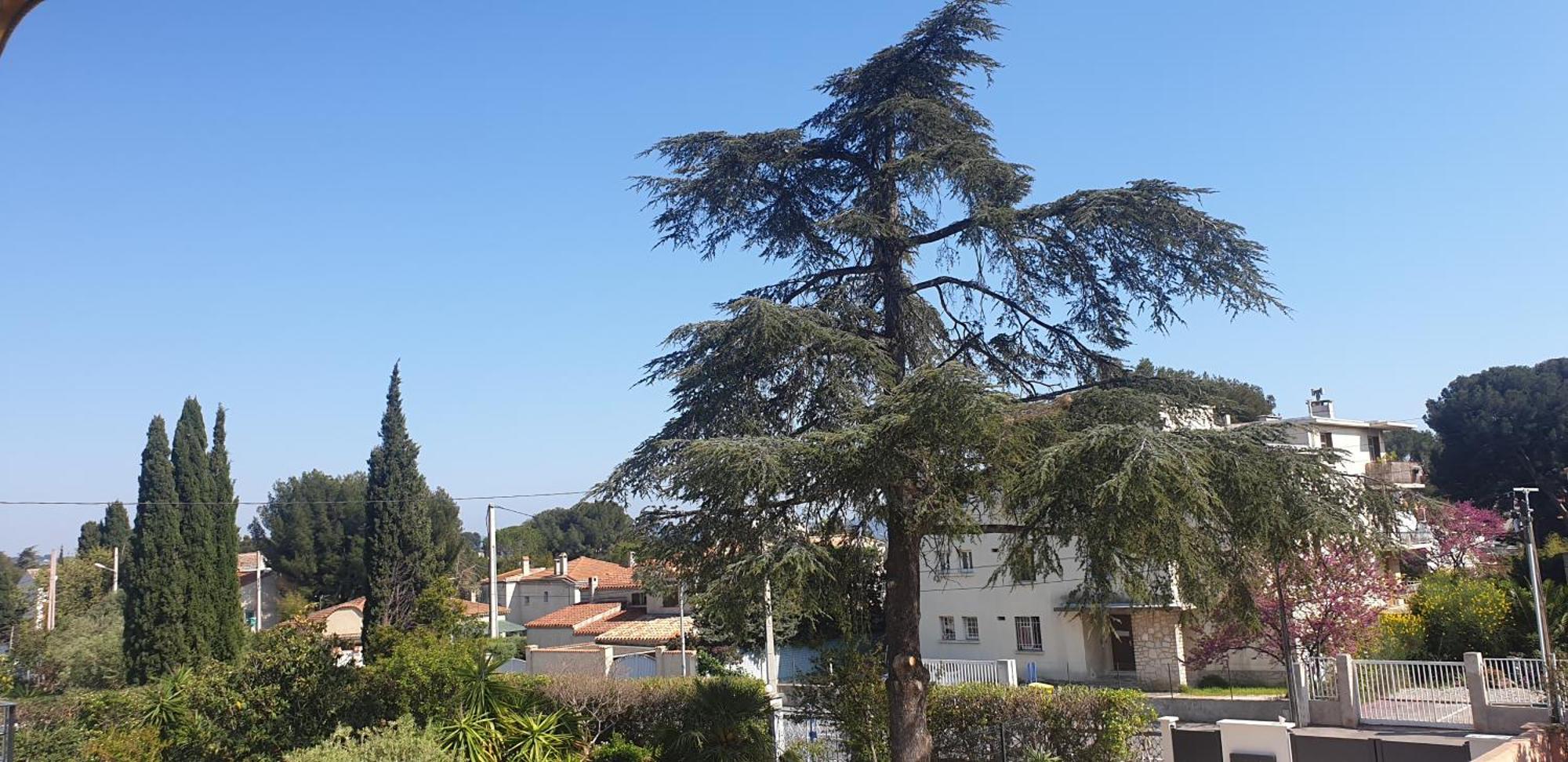 Les Vagues Bleues Daire La Ciotat Dış mekan fotoğraf